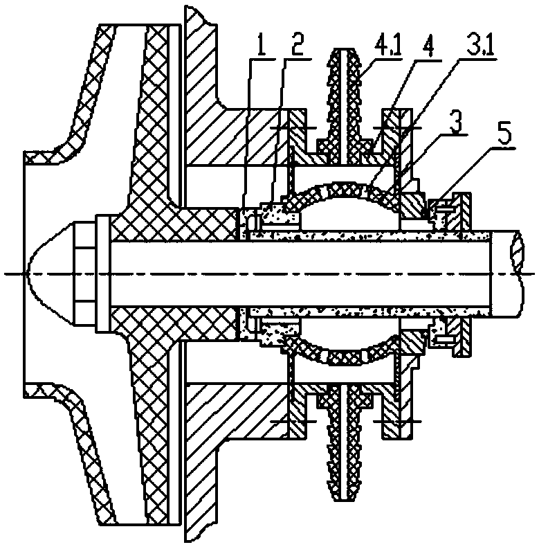 Anti-corrosion anti-dry-grinding shaft seal