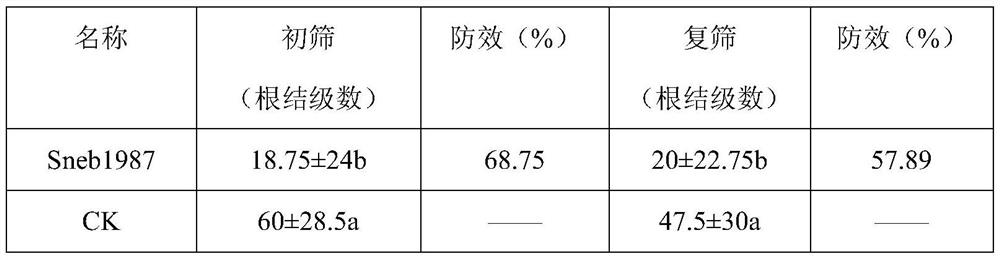 A kind of enterobacteriaceae and application for preventing and treating plant root-knot nematode