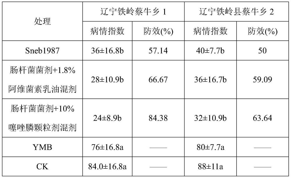 A kind of enterobacteriaceae and application for preventing and treating plant root-knot nematode