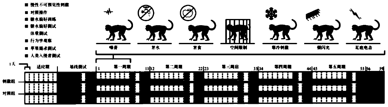 Construction method of depression model for crab-eating macaques at adolescence and juvenility