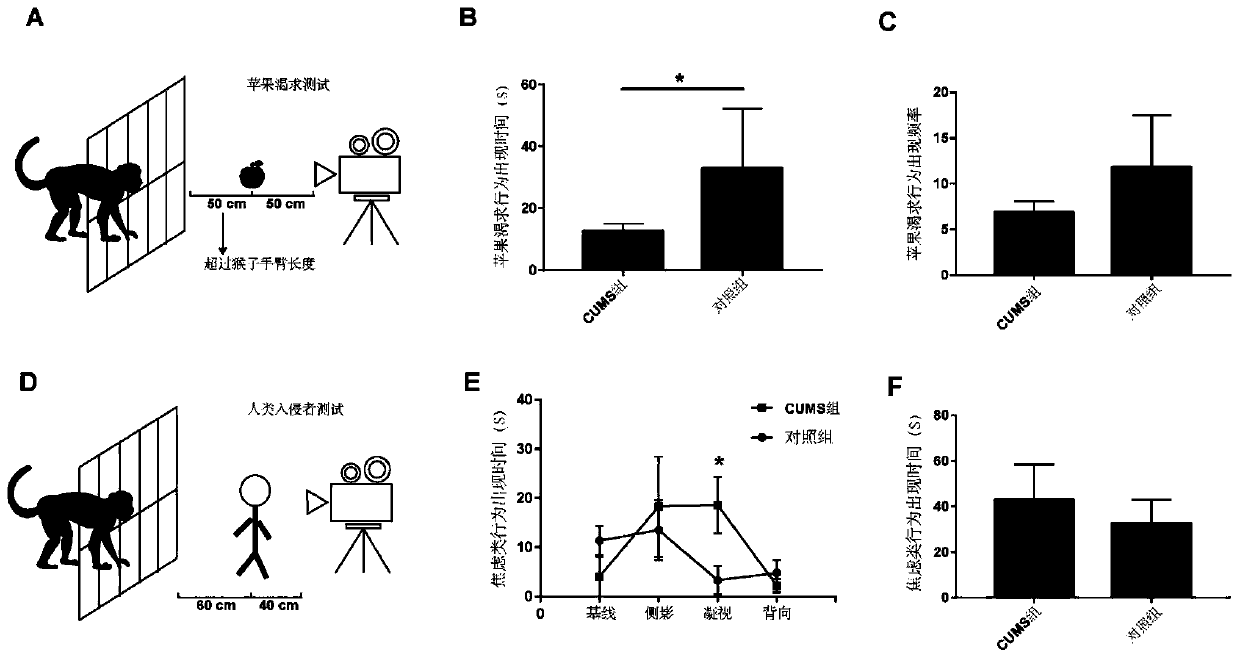 Construction method of depression model for crab-eating macaques at adolescence and juvenility