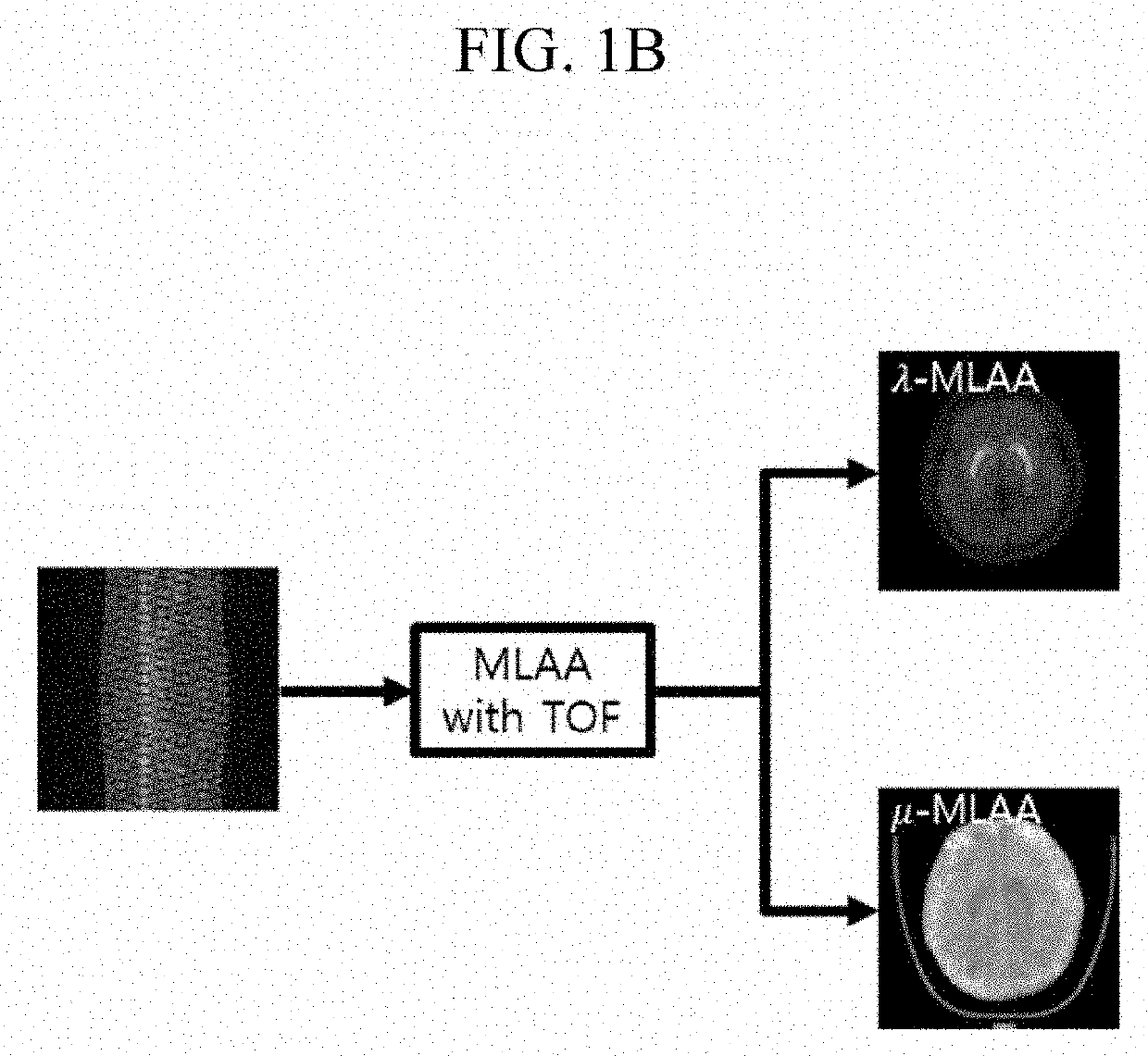 Positron emission tomography system and image reconstruction method using the same