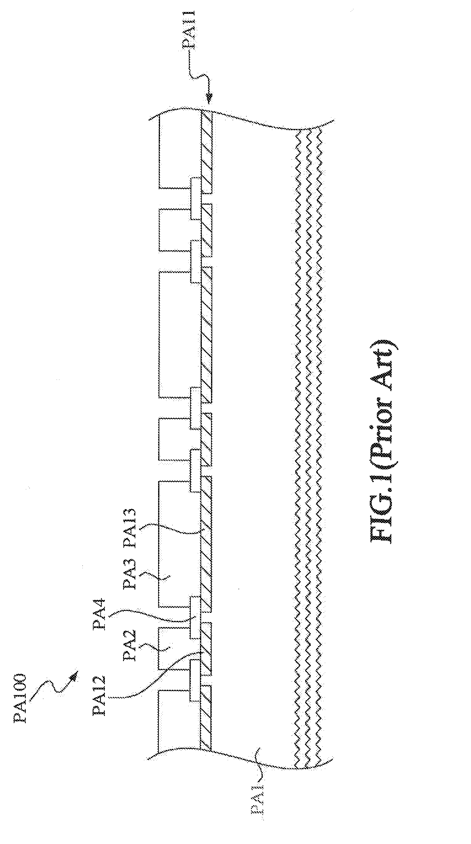 Back contact solar cell