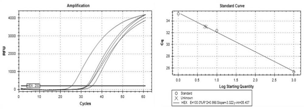 A kit for detecting Drosophila spotted wing based on terrestrial environment DNA and its application