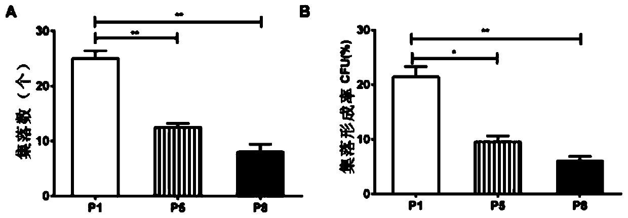 Umbilical cord mesenchymal stem cells for treating lung diseases and preparation method thereof