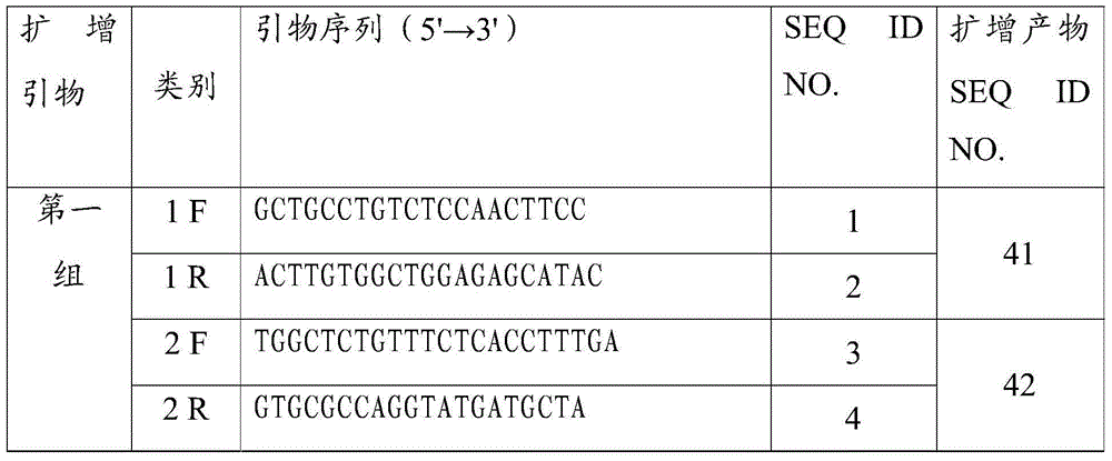 TOP2A gene abnormality detection probe, kit and method