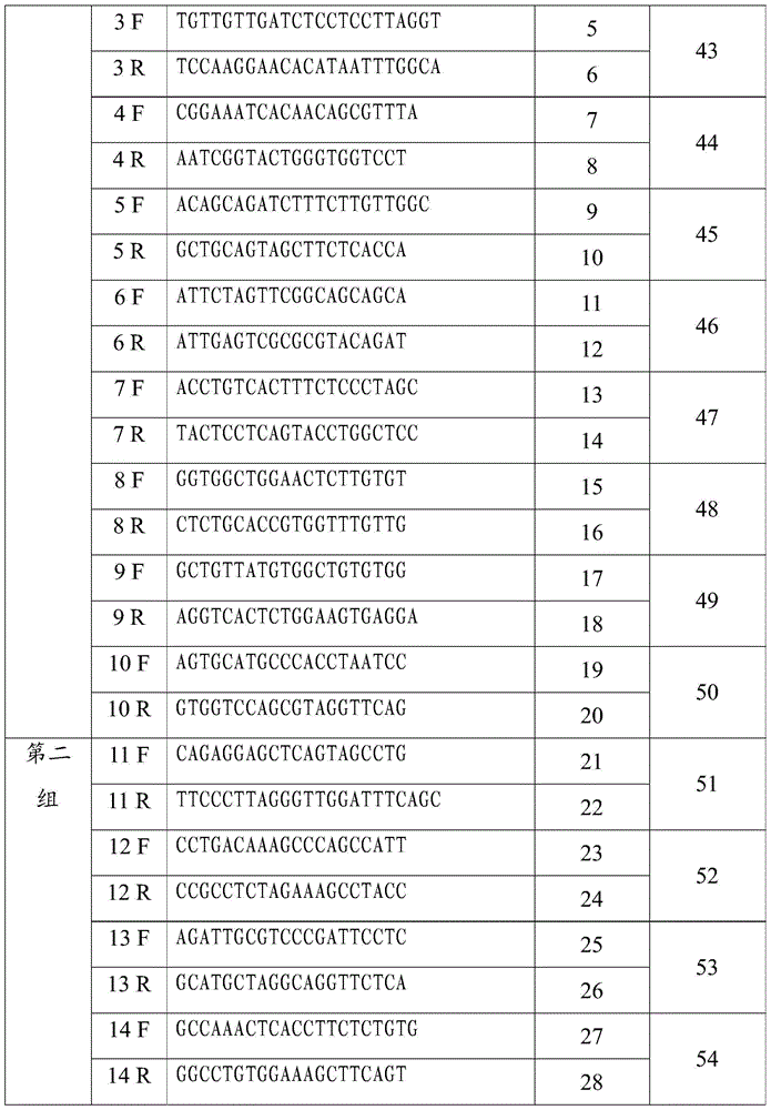 TOP2A gene abnormality detection probe, kit and method