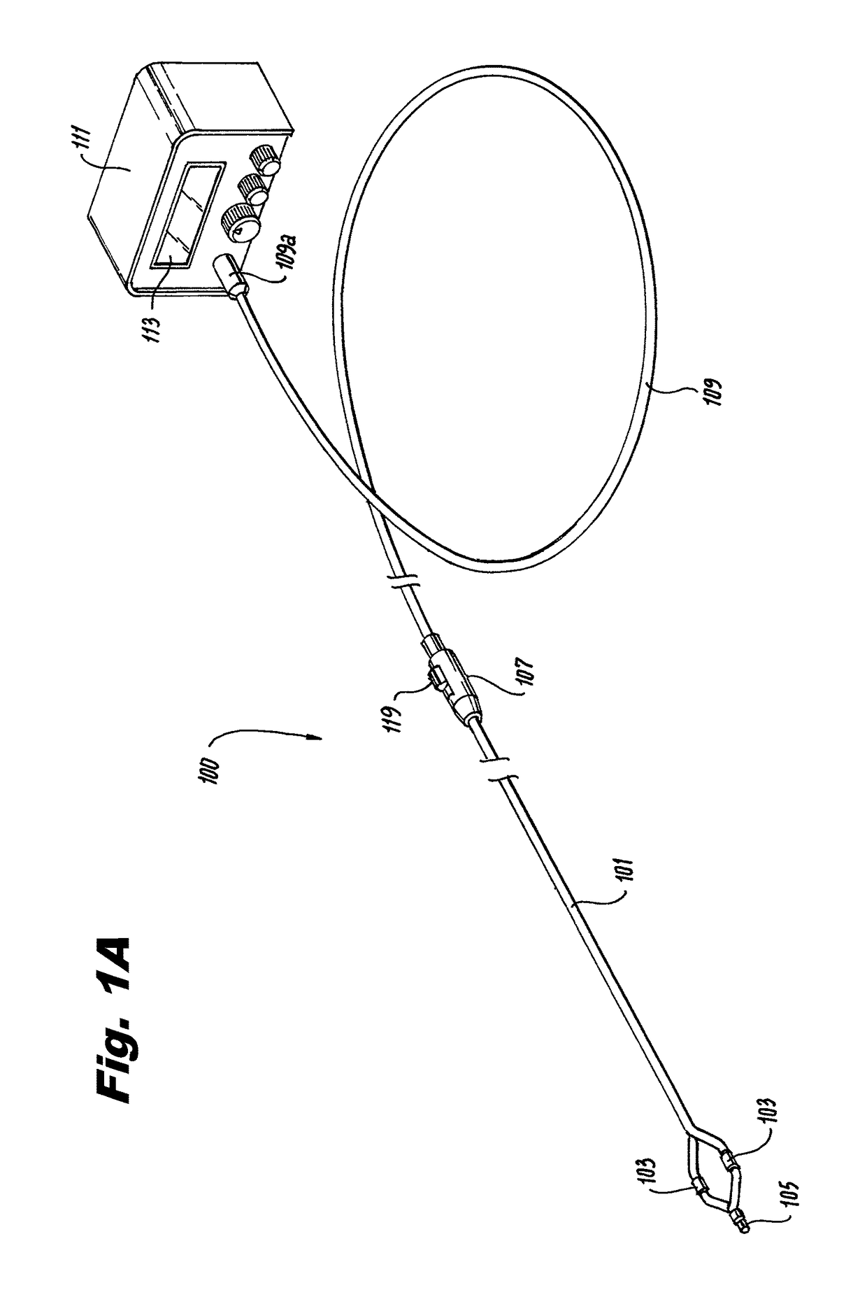 Renal denervation system