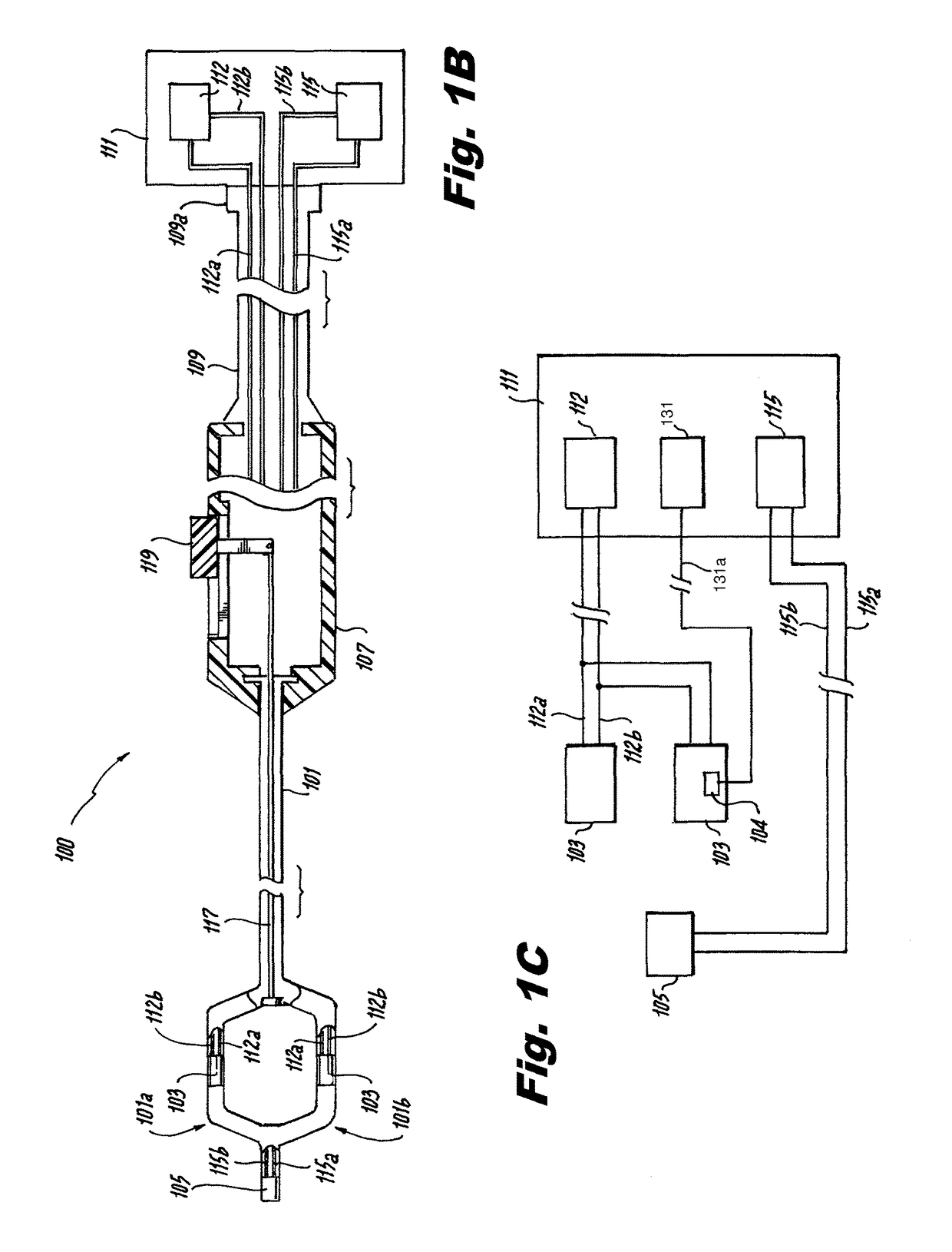 Renal denervation system