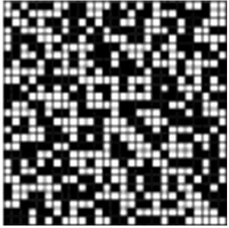 Camera Pupil Aberration Correction Method Based on Light Field Coding