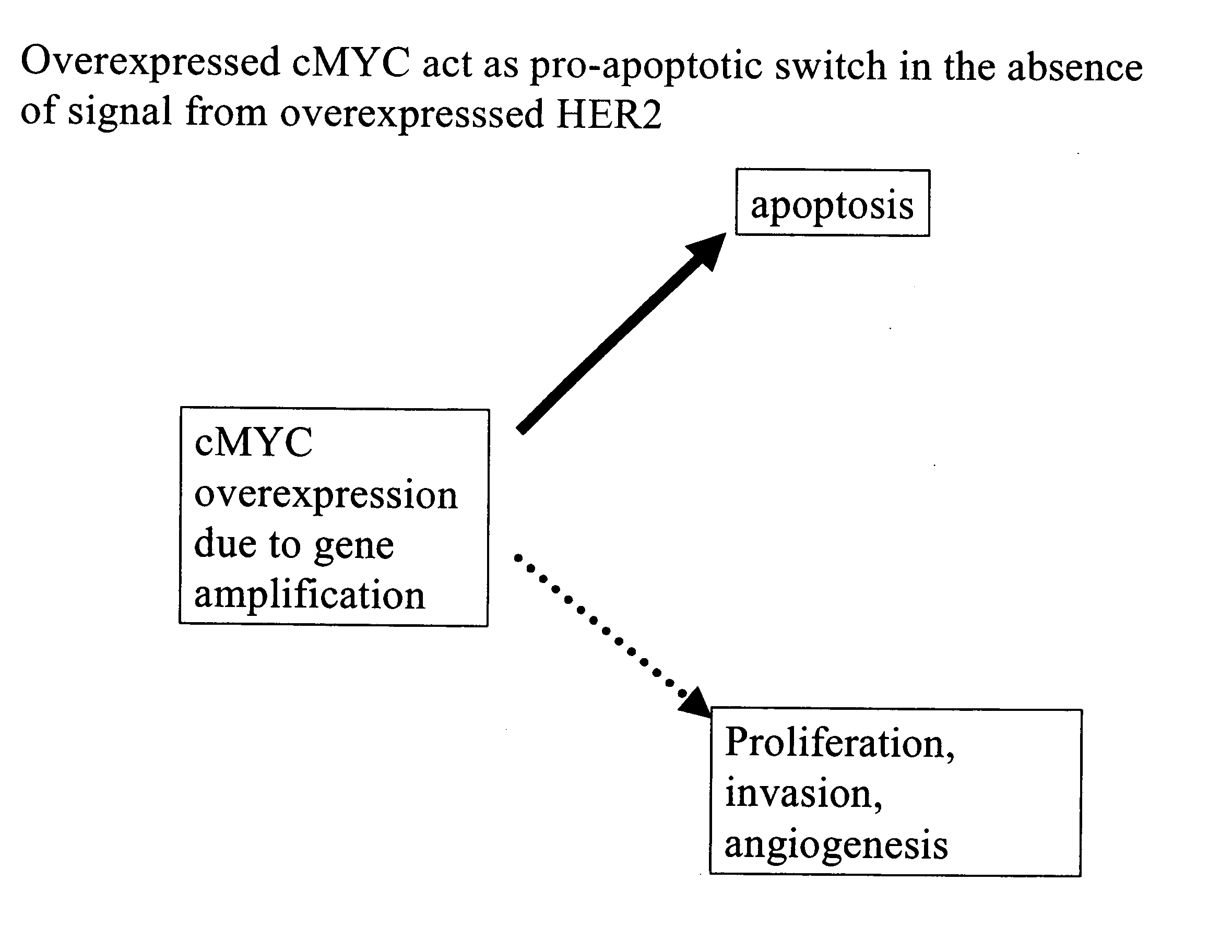 Identification and use of prognostic and predictive markers in cancer treatment