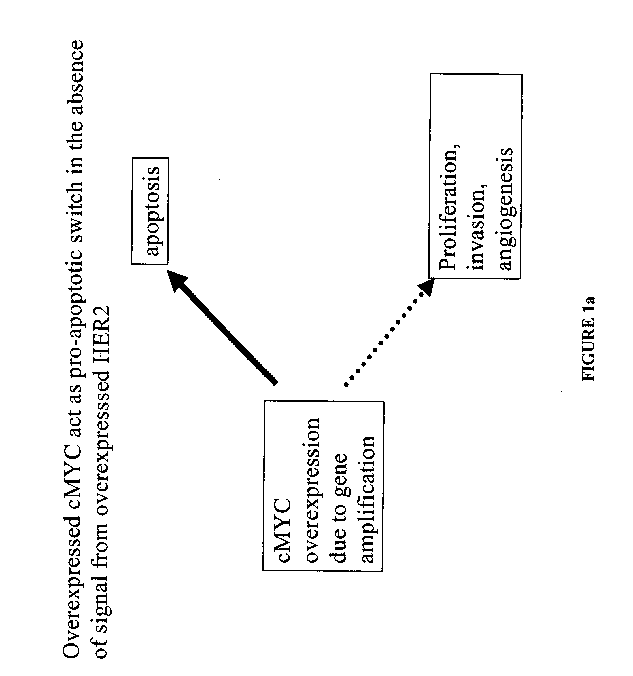 Identification and use of prognostic and predictive markers in cancer treatment