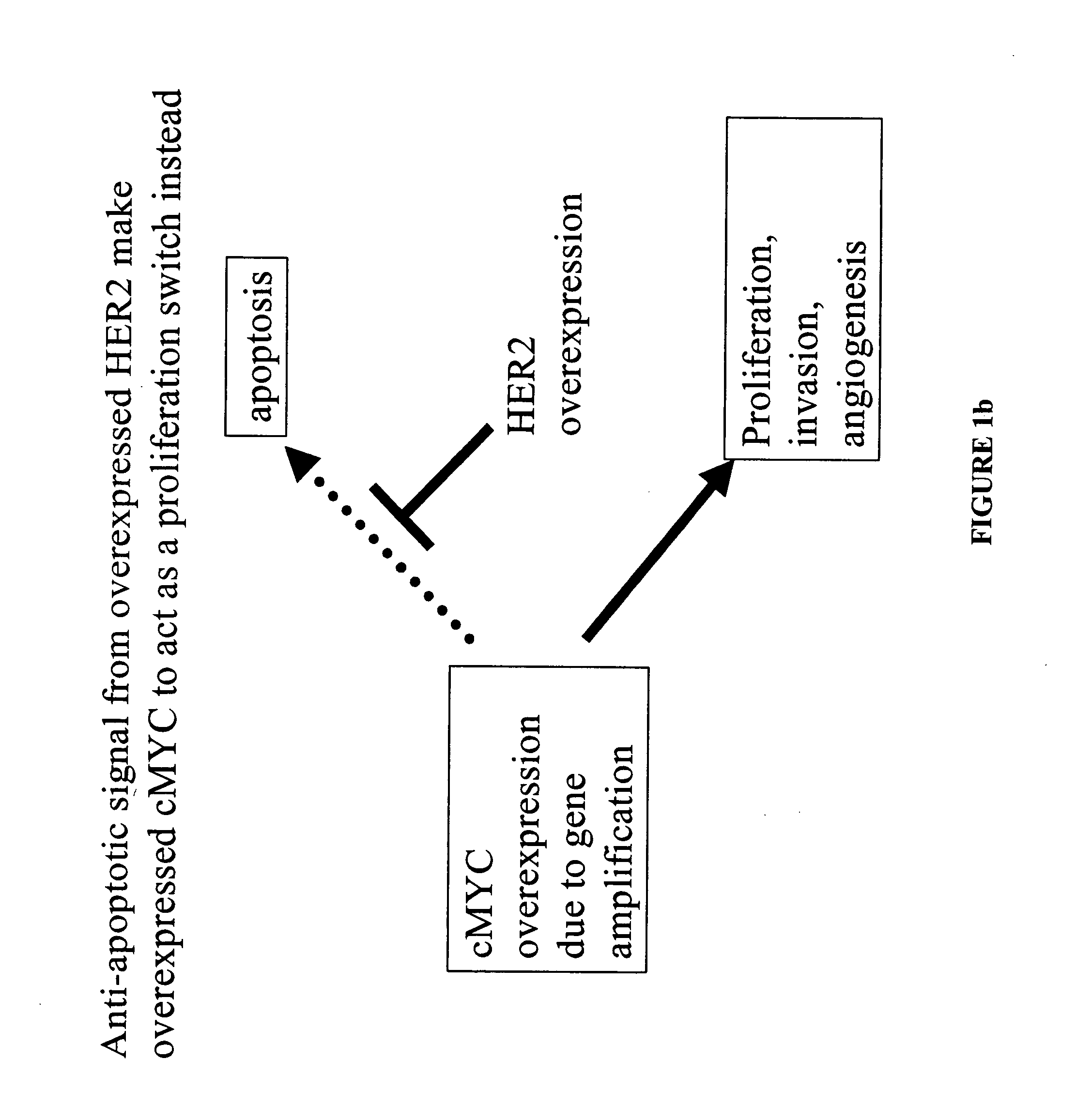 Identification and use of prognostic and predictive markers in cancer treatment