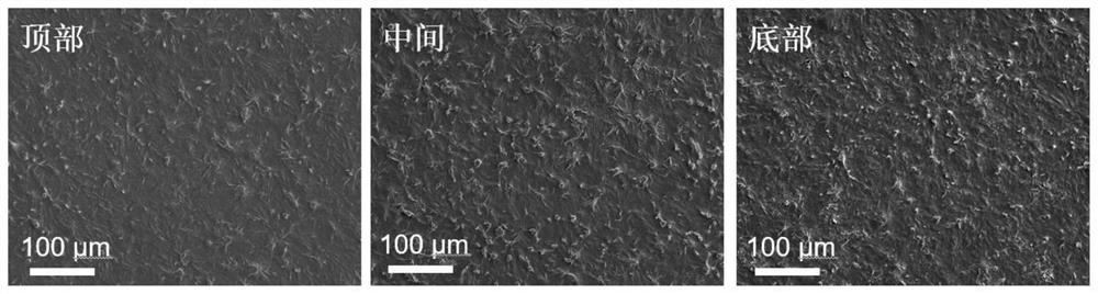 Skipjack meal humidity driving film as well as preparation method and application thereof