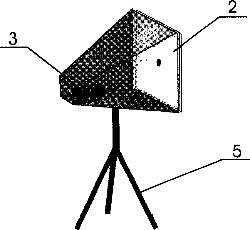 Apparatus and method for detecting and monitoring displacement/deflection