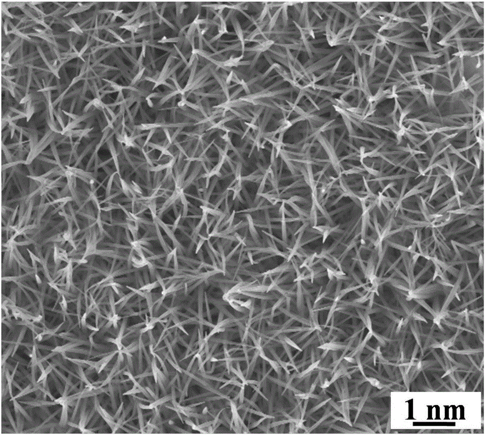 Preparation method for preparing Co3O4@CoP composite electrode based on MOF template