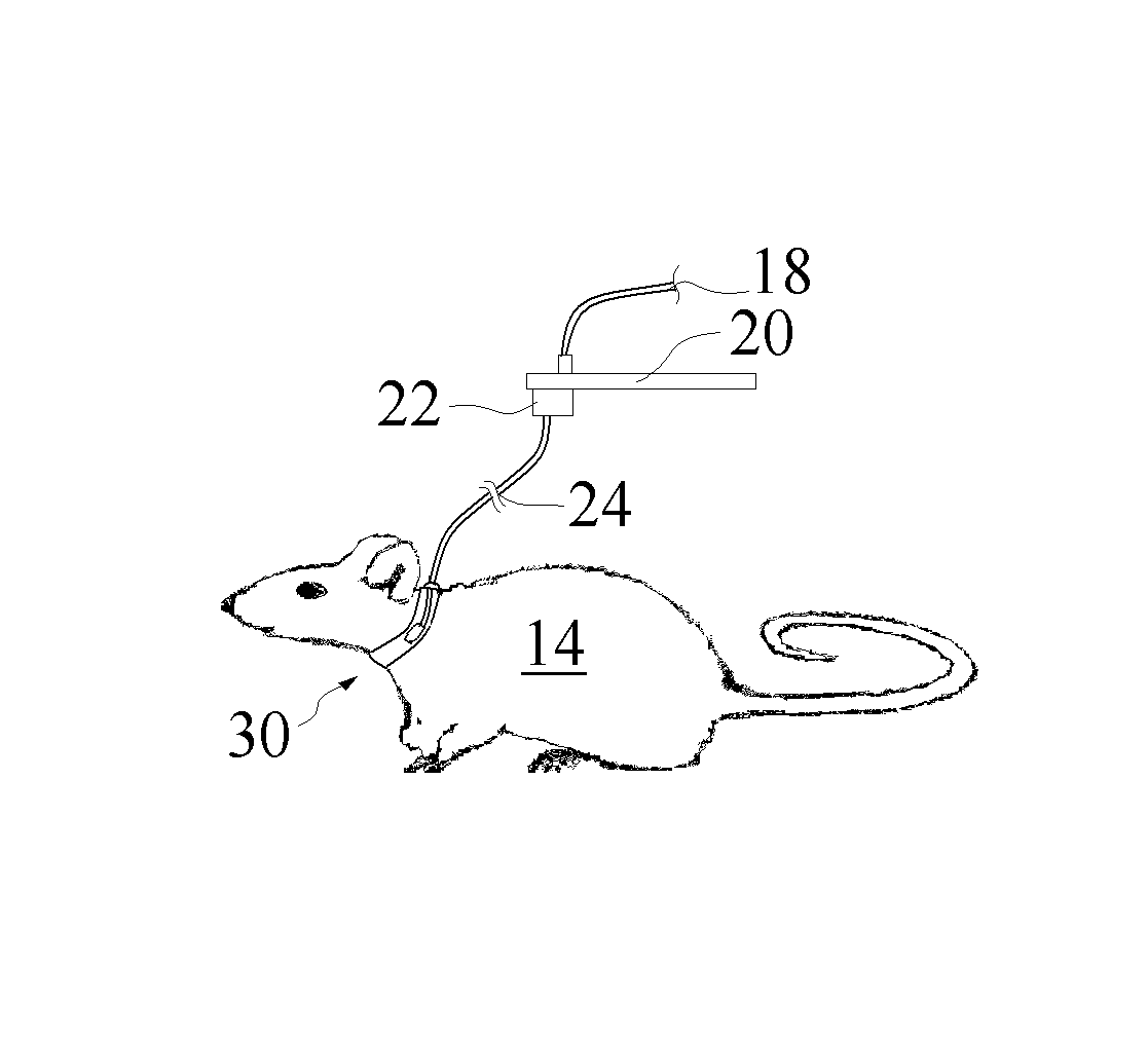 Noninvasive photoplethysmographic sensor platform for mobile animals