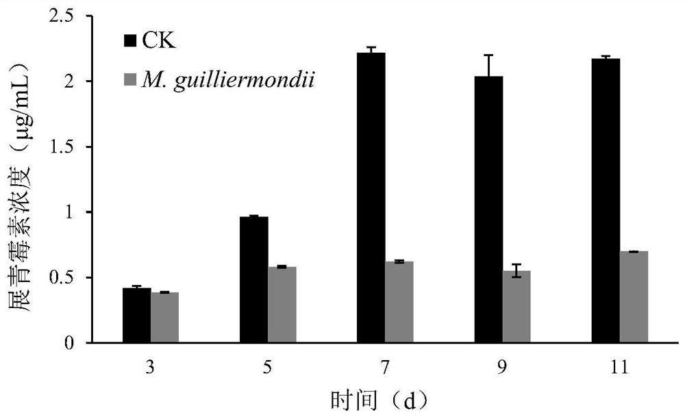 Yeast strain for controlling pear patulin and application of yeast