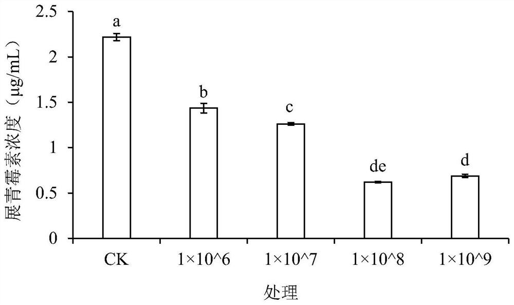 Yeast strain for controlling pear patulin and application of yeast