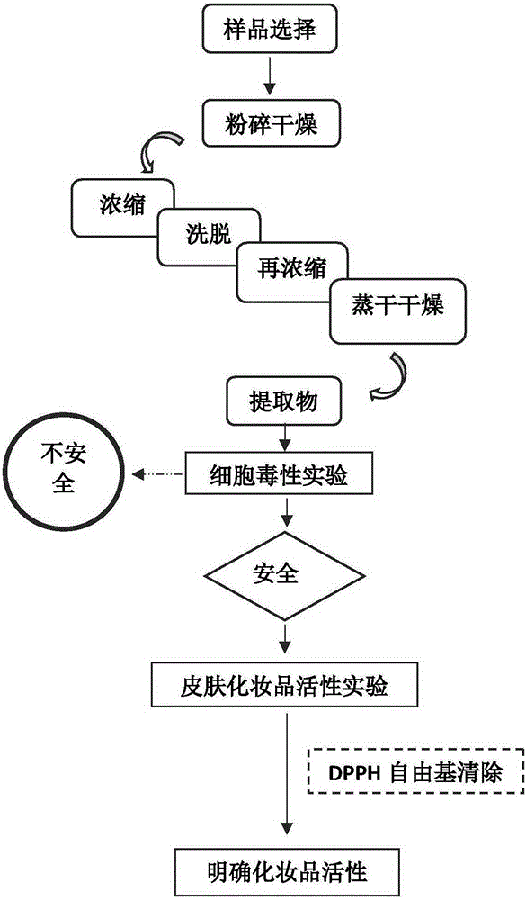 Chaenomeles speciosa extract and cosmetic by taking extract as active ingredient