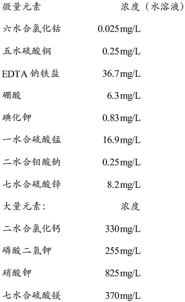 Cudrania tricuspidata tissue culture seedling subculture method