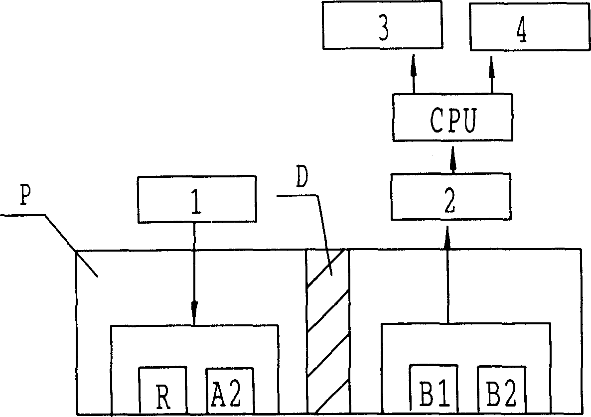 Ultrasonic method of measuring bone age and bone growth plate development degree