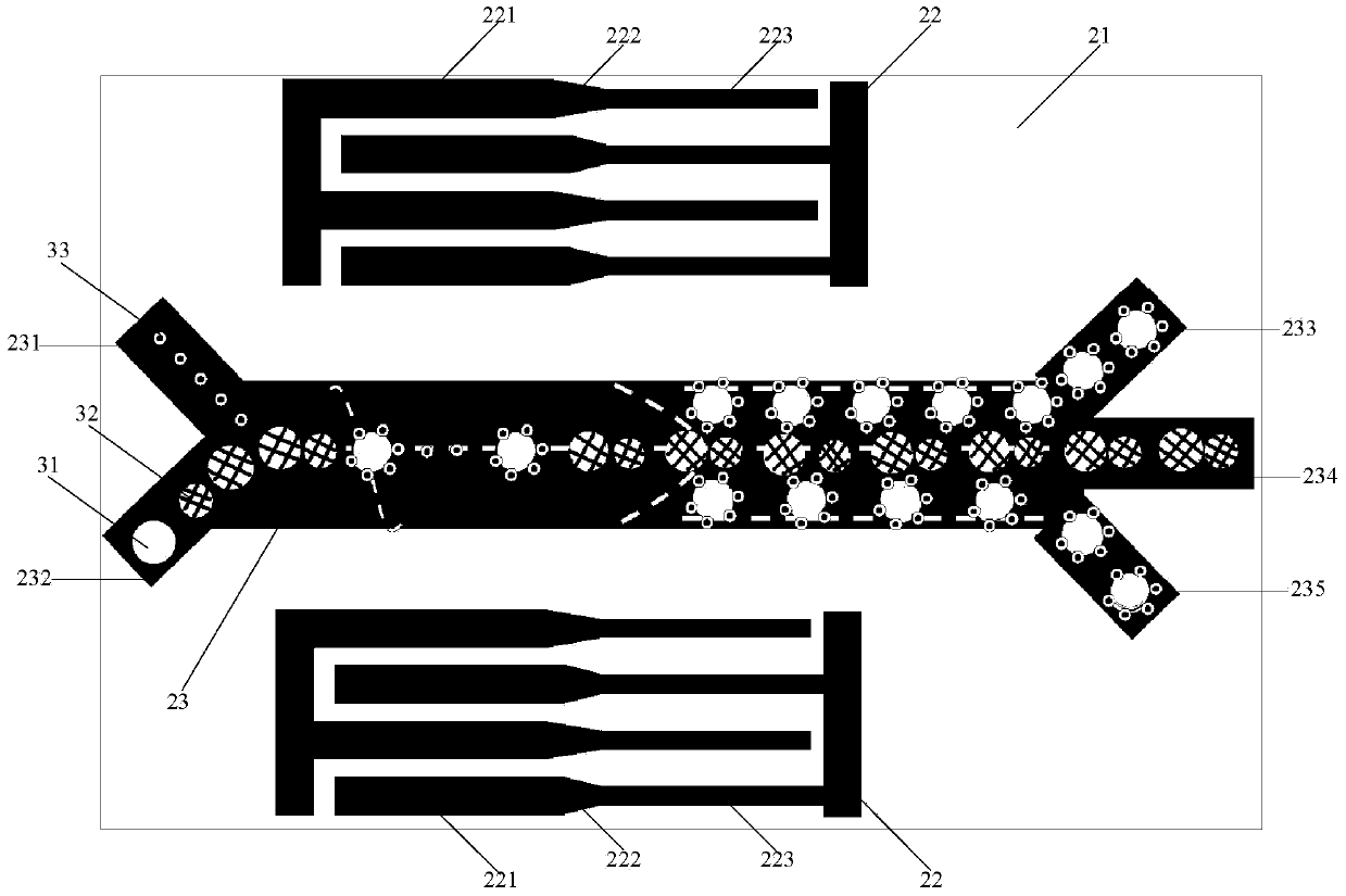 Microfluidic chip and cell screening method for screening specific cells