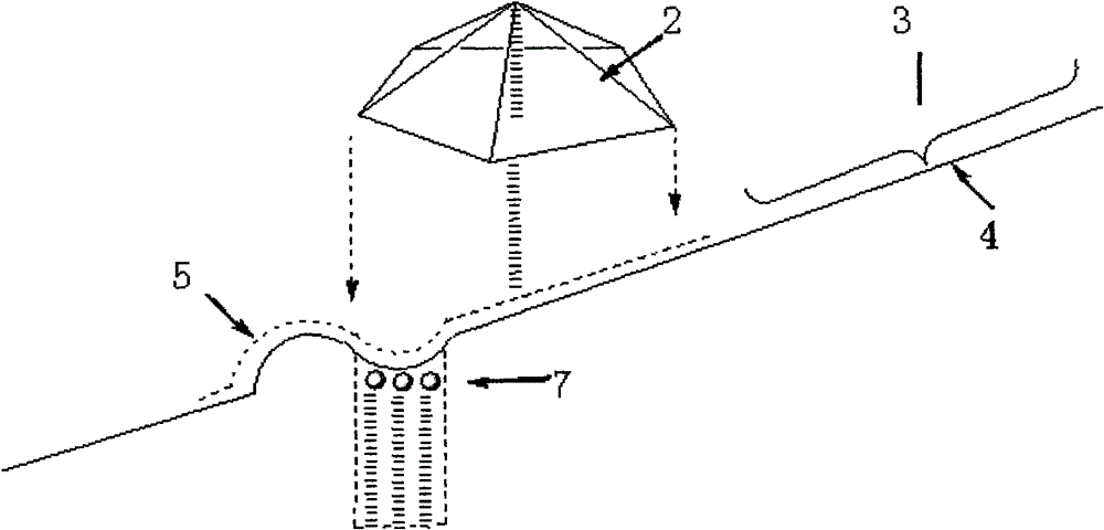 Rain collecting and fertilizer applying method for trees