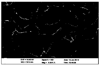 Method for removing copper in wastewater by using sodium alginate immobilized cellulomonas