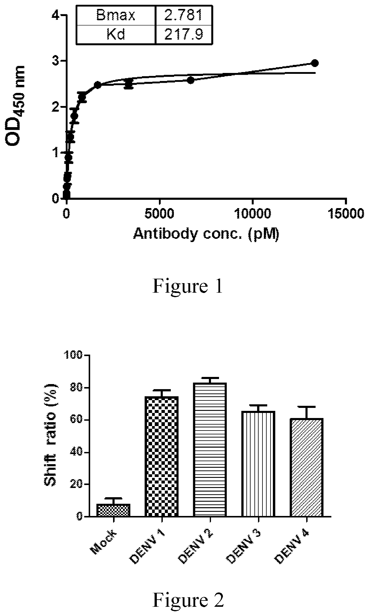 Anti-dengue virus antibody, pharmaceutical composition comprising the same, and uses thereof