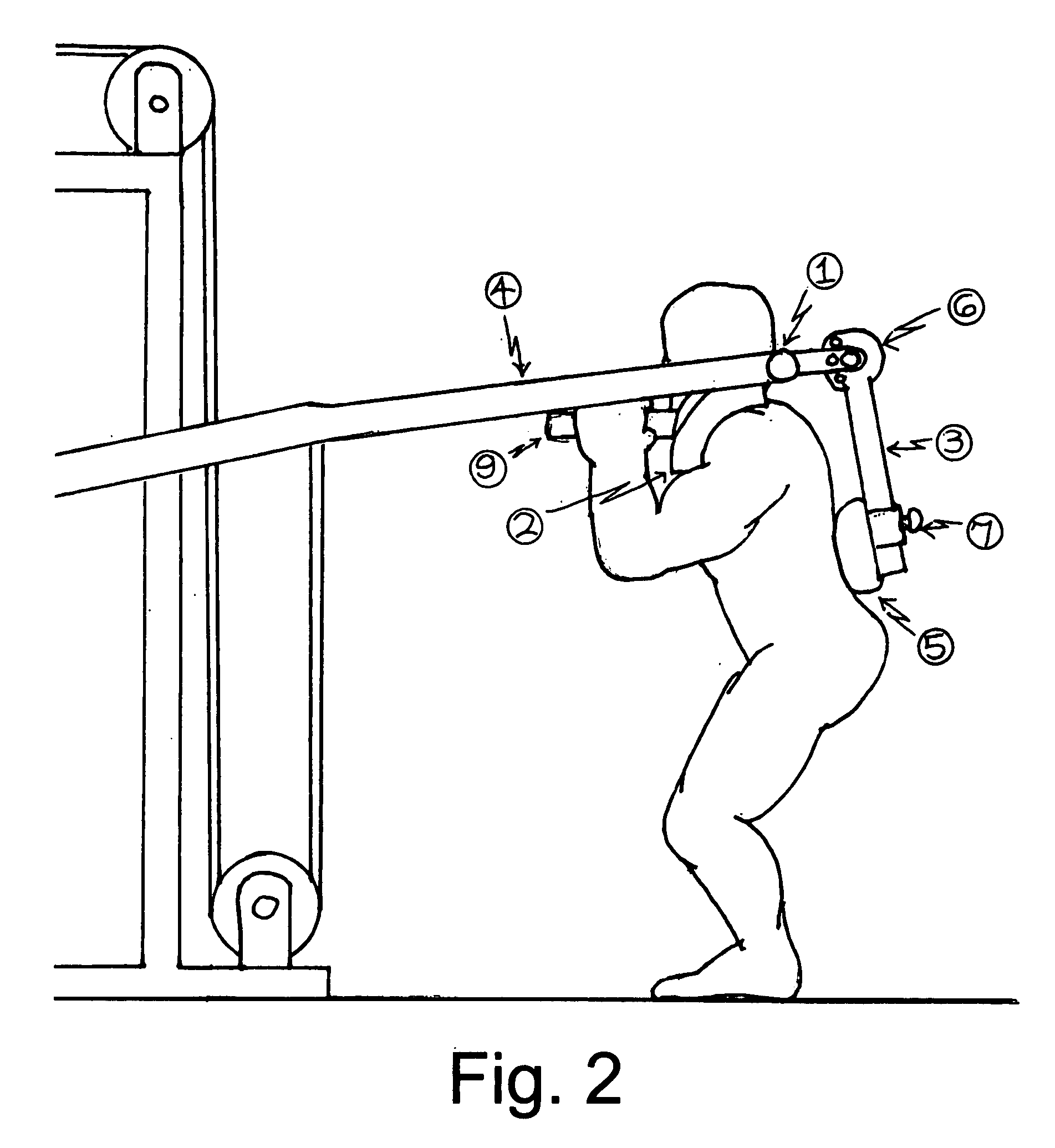 Apparatus to maintain spinal alignment during the squat exercise