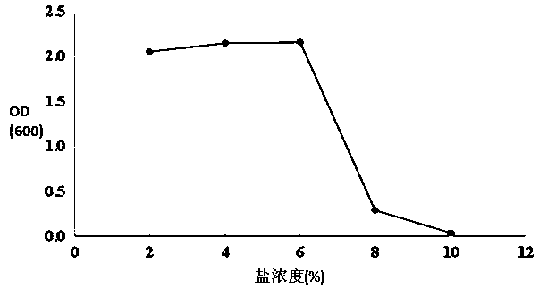 Salt-tolerant growth-promoting bacteria strain, screening method and application thereof