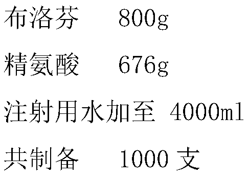 Ibuprofen injection and preparation method