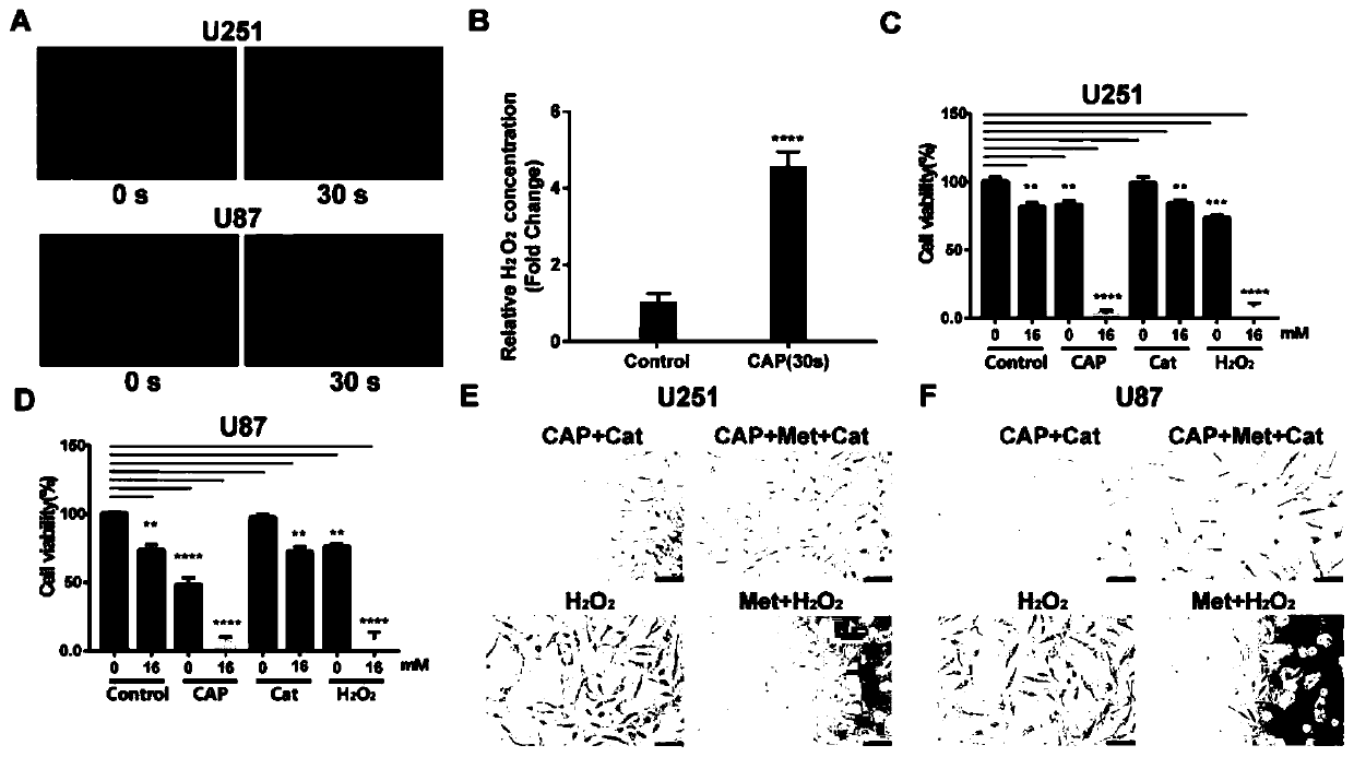 Application of combination of low-temperature plasma and metformin