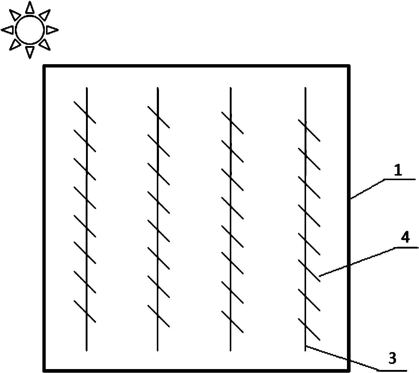 Optical organism culture device