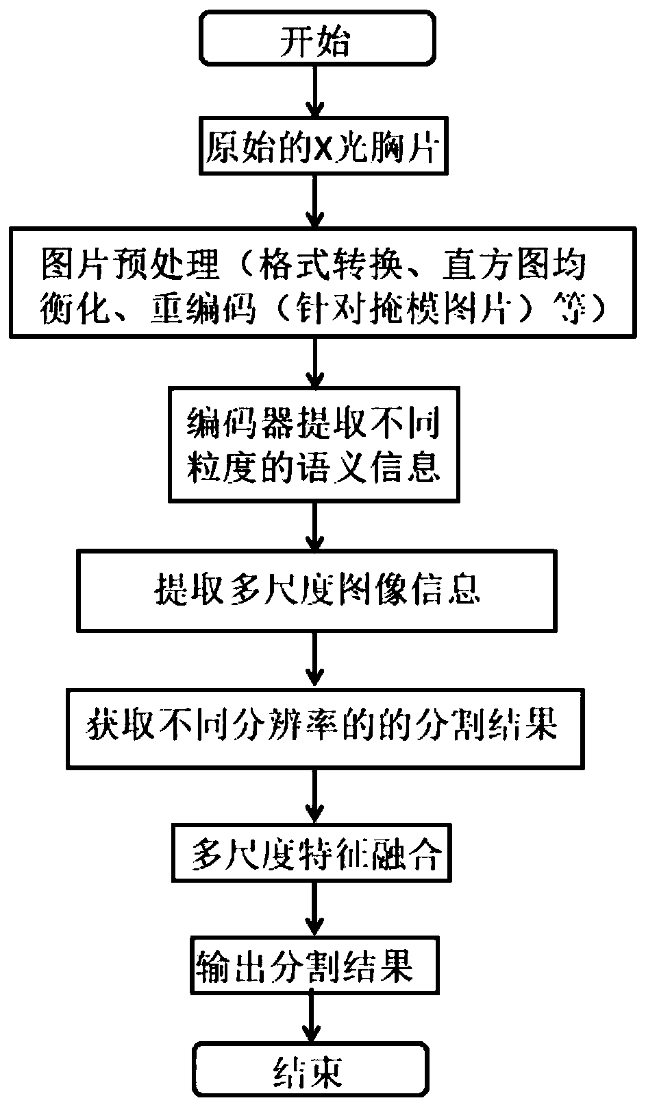 Chest radiography lung field segmentation model establishment based on multi-scale feature fusion and segmentation method