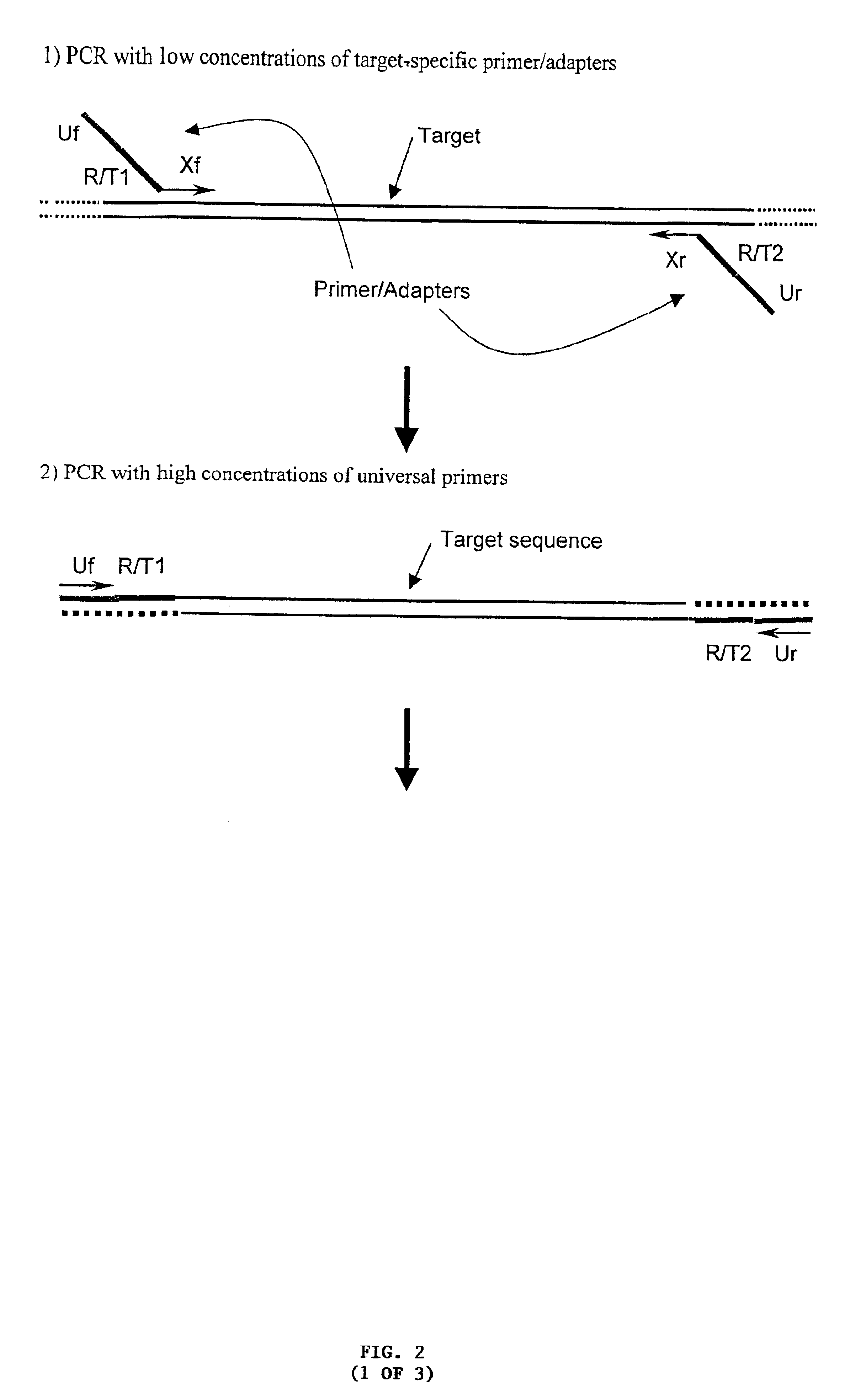 Derivative nucleic acids and uses thereof