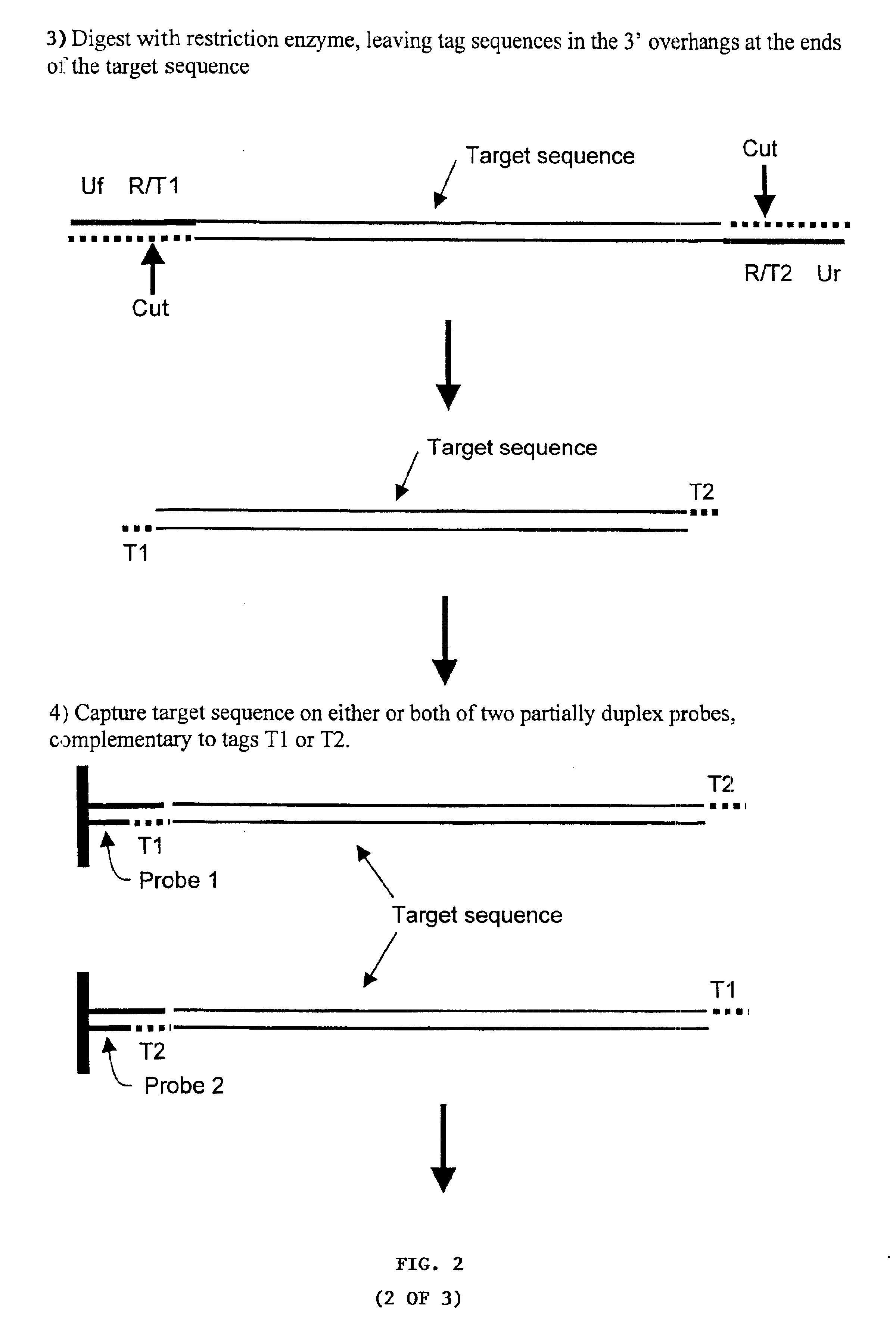 Derivative nucleic acids and uses thereof