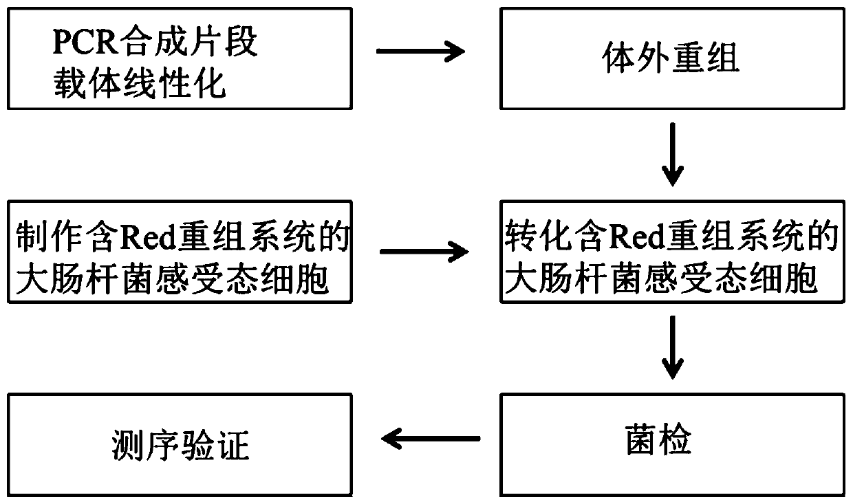 Plasmid construction kit, plasmid construction method and application thereof