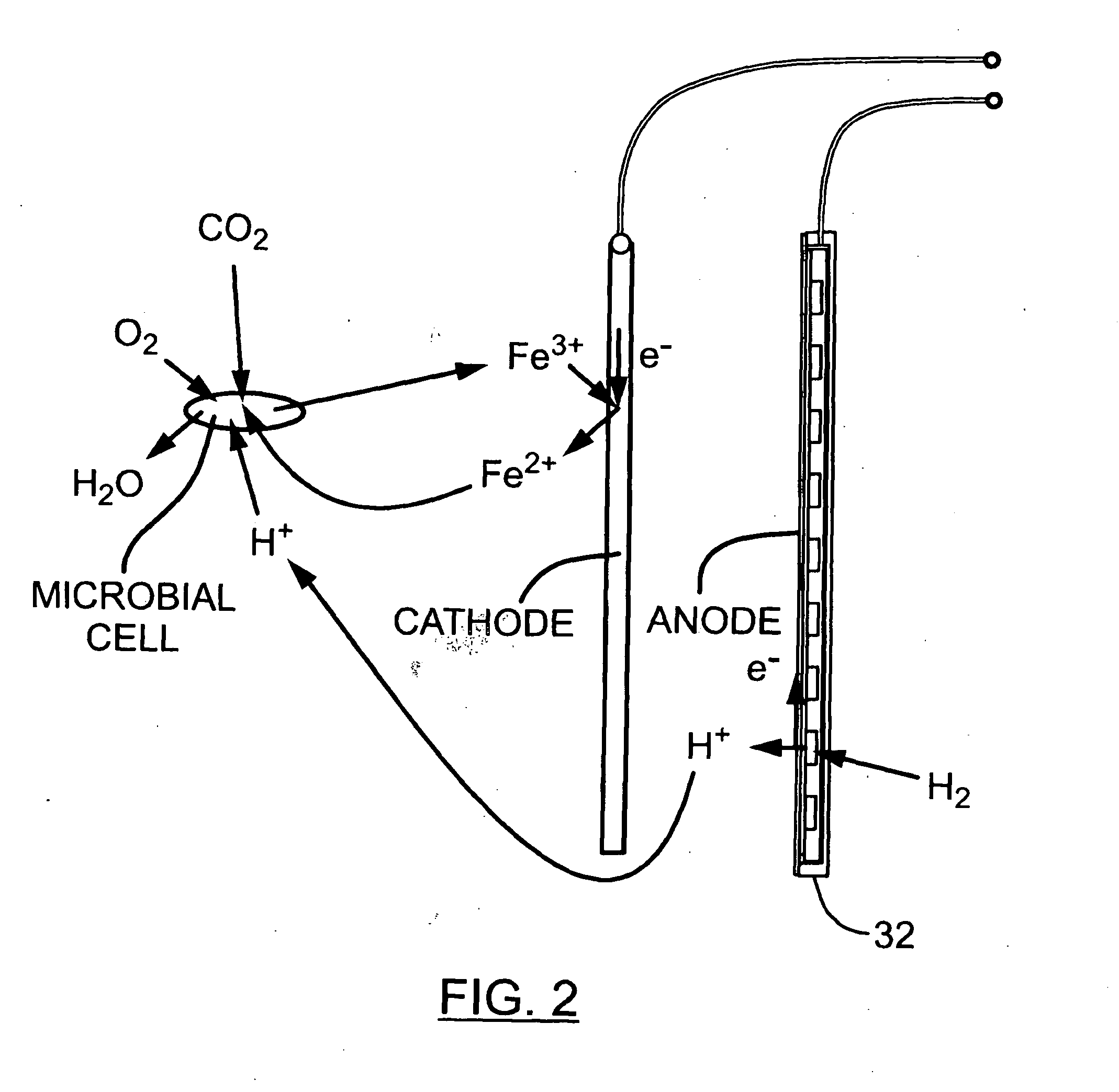 Fuel Cell Bioreactor