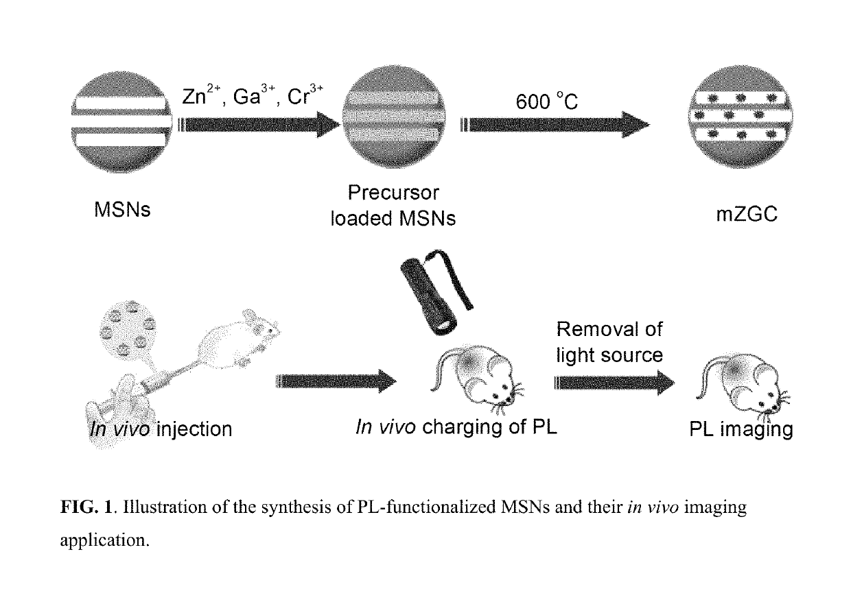 Homogeneous persistent luminescence nanocrystals and methods of preparation and application thereof