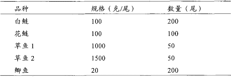 Micro-ecological preparation for promoting cyclic utilization of substrate sludge nitrogen and phosphorus and preparation method and application thereof