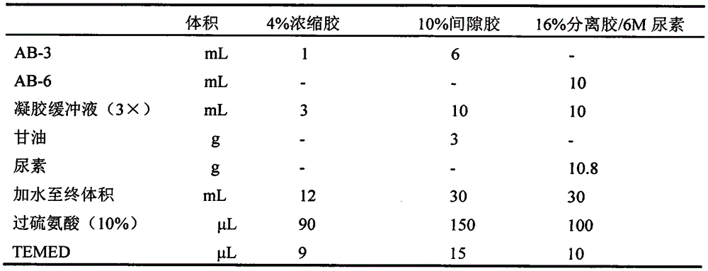 Pichia pastoris genetic engineering hybrid antibacterial peptide CC29 and preparing method thereof