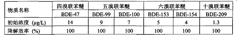 Efficient degradation bacteria for PBDEs (polybrominated diphenyl ethers) and application thereof