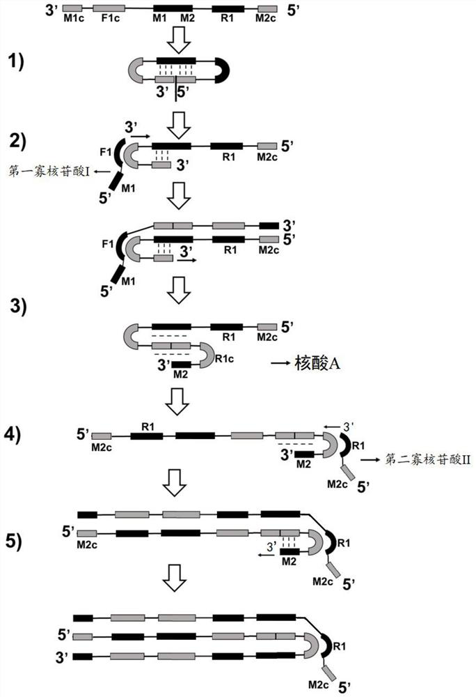 Method for synthesizing nucleic acid under constant temperature condition, kit and application