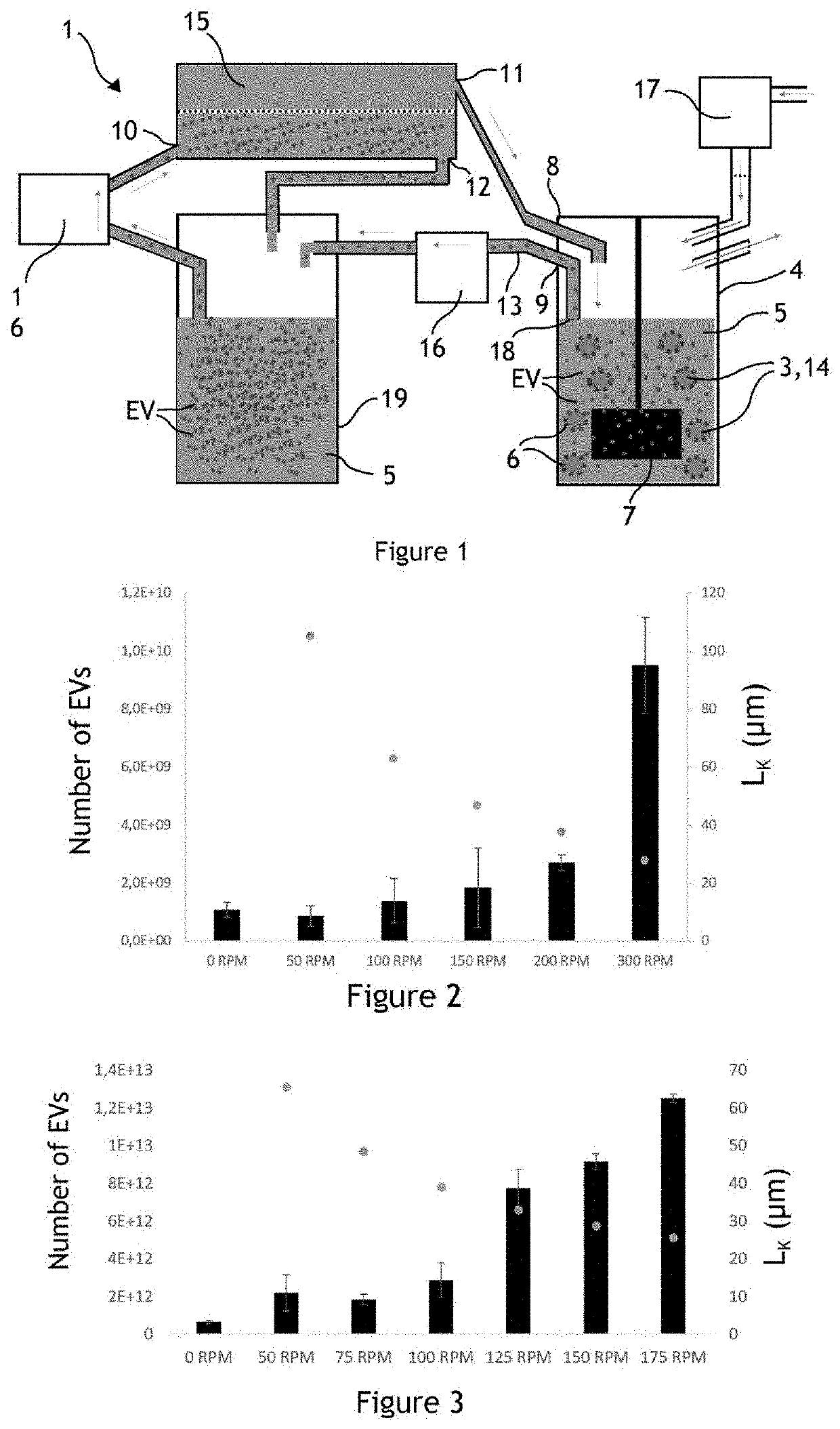 Fluid system for producing extracellular vesicles and associated method