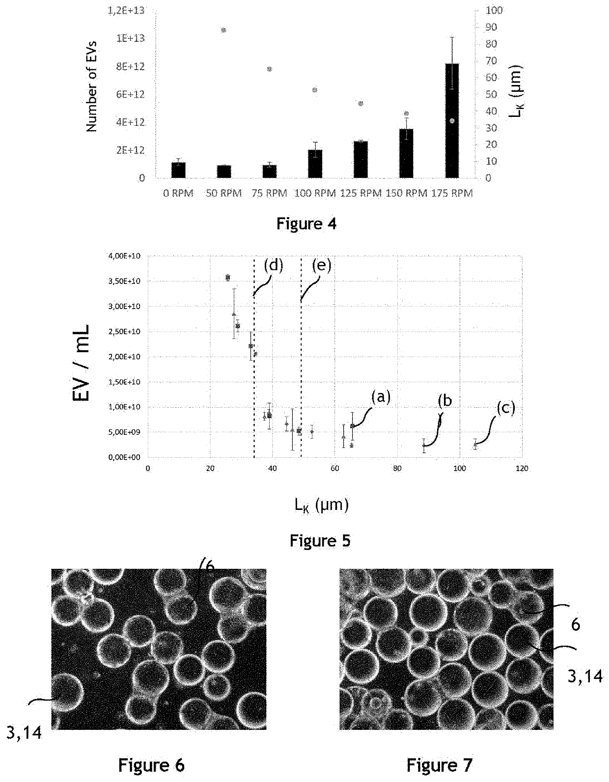 Fluid system for producing extracellular vesicles and associated method