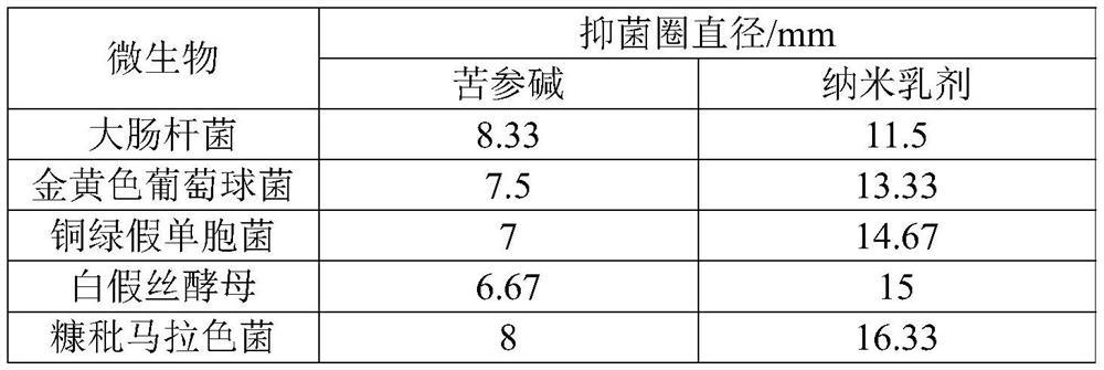 Plant bacteriostatic skin-care nano-emulsion and preparation method thereof