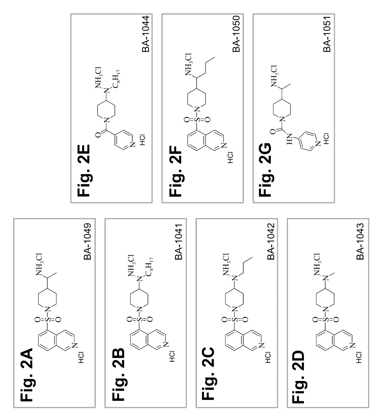 Treatment of cerebral cavernous malformations and cerebral aneurysms with Rho kinase inhibitors