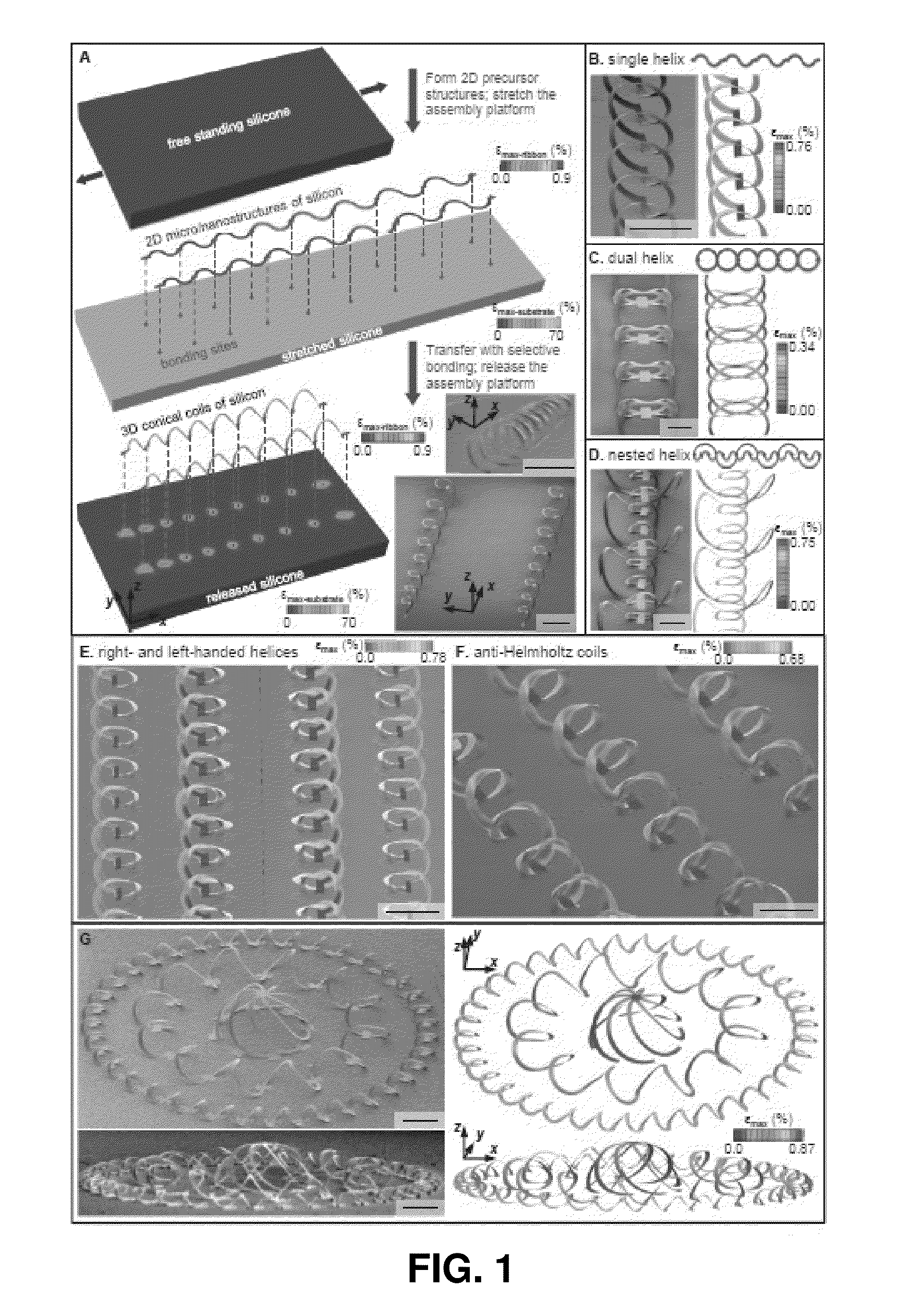 Deterministic assembly of complex, three-dimensional architectures by compressive buckling